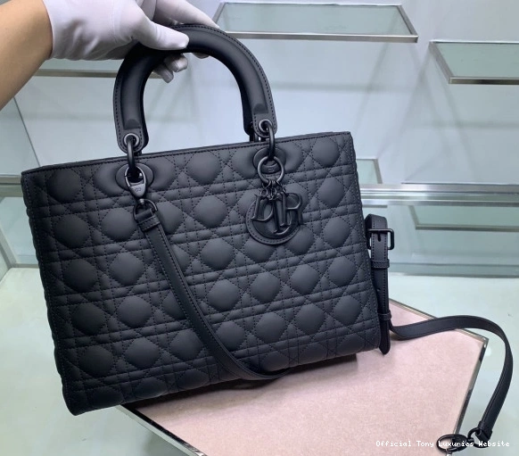 Tony Luxuries LADY diro BAG LARGE 0711